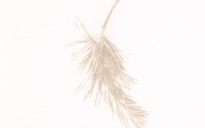 Exhibiting @ Borders Art Fair with SSA 25-27 March 2022