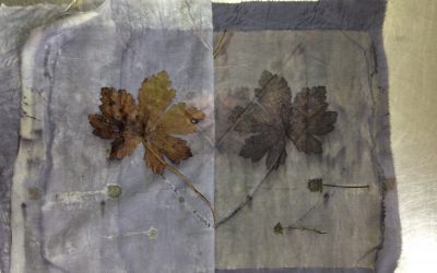 Fab few days Eco imprinting in Dalmally with Liz Gaffney