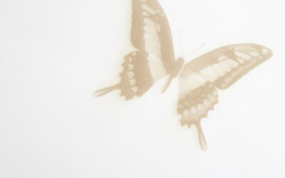 Small Works in SSA 30×30 @ Royal Scottish Academy November 2021