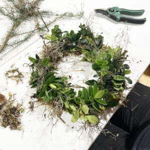 Wild Wreath Making - Uig Mon 8 Dec 6.30 - 9pm 2025