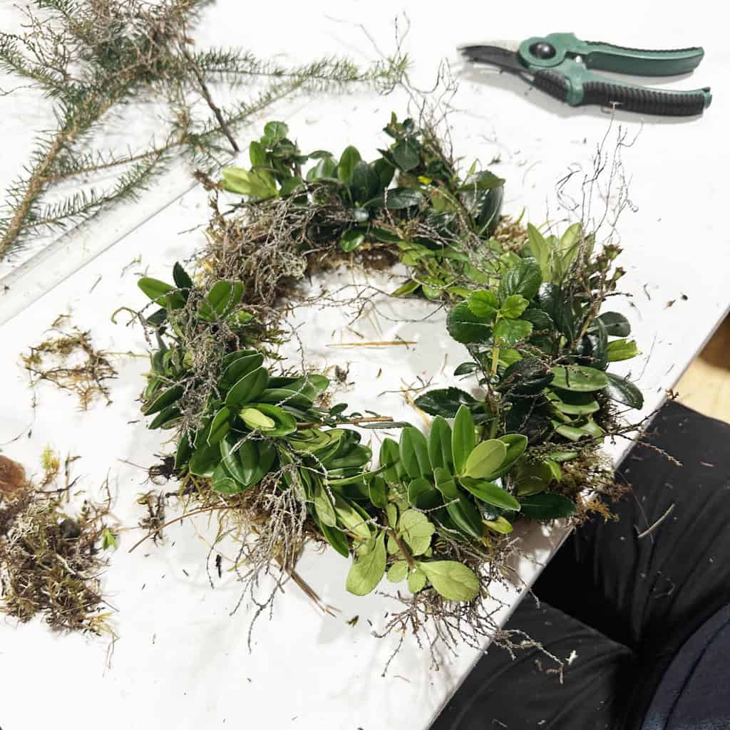 Wild Wreath Making - Uig Mon 8 Dec 6.30 - 9pm 2025