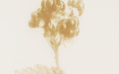 Showing 3 prints in ” Made in DCA Print Studio” @ Dundee Contemporary Arts until 5 October