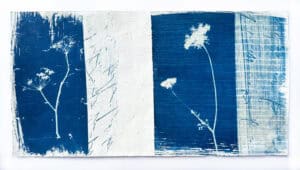 Mixed media cyanotype by Scottish Artist Jenny Smith