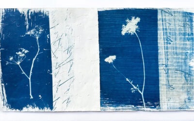 Exhibiting in Common Ground Exhibition with VAS @ Kirkudbright Galleries until 4 May 2026