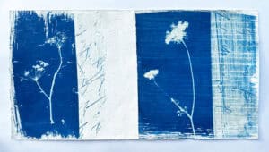 Mixed media cyanotype by Scottish Artist Jenny Smith